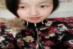 龙尘与丹仙子的结局