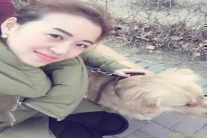 小说地火明夷讲了什么故事